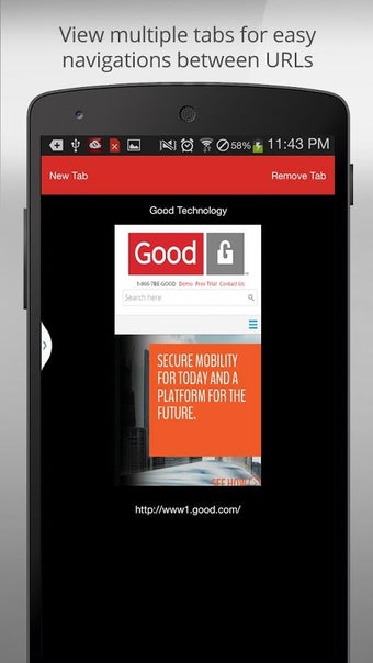 Image 1 for Good Access
