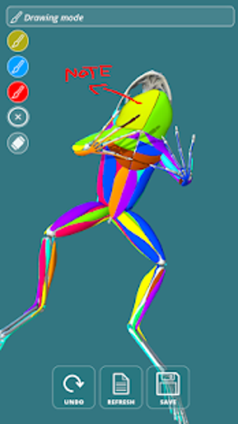 Image 1 for Visual Anatomy 3D - Frog