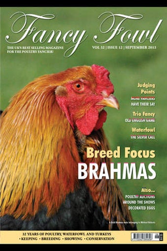 Image 0 for Fancy Fowl