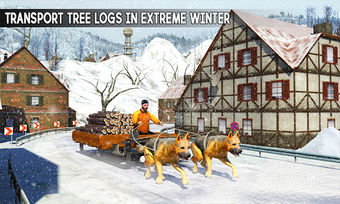 Image 2 for Snow Dog Sledding Transpo…