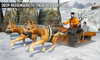 Image 1 for Snow Dog Sledding Transpo…