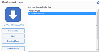 Imagen 2 para Celensoft Super Web