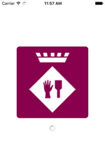 Image 0 for Ajuntament de Palau-solit…