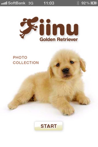 Image 0 for Look!GoldenRetriever