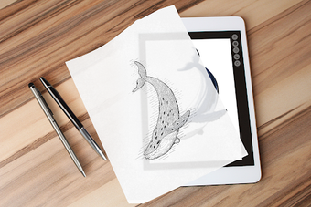 Image 1 for Papercopy - Tracer