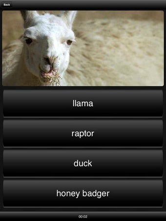 Image 2 for Llama or Duck or Honey Ba…