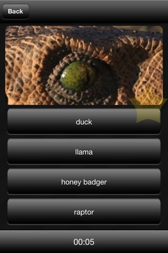 Image 4 for Llama or Duck or Honey Ba…