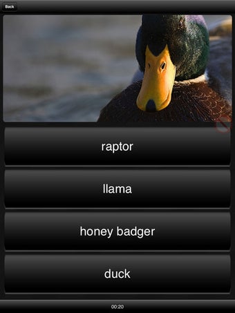 Image 0 for Llama or Duck or Honey Ba…