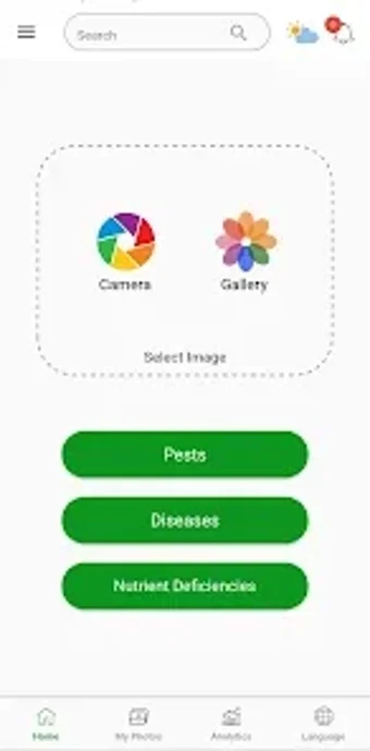 Image 0 for Cashew Protect