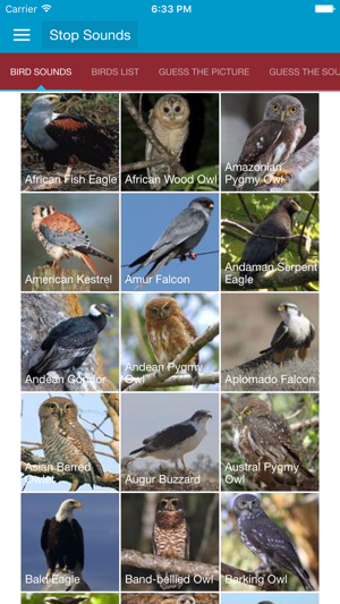 Image 1 for Birds of Prey and Sounds