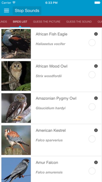 Image 2 for Birds of Prey and Sounds
