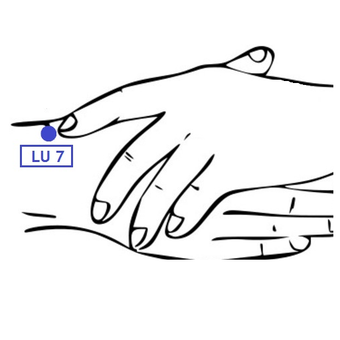 Image 2 for Acupressure Point for 300…