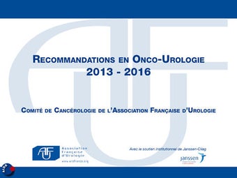 Imagen 0 para Recommandations AFU 2013-…