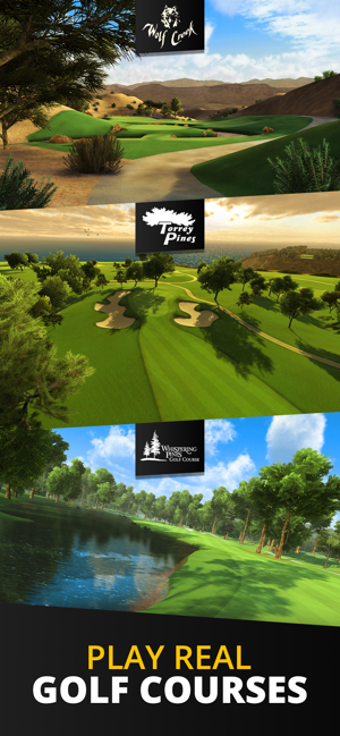 Image 1 for Ultimate Golf!