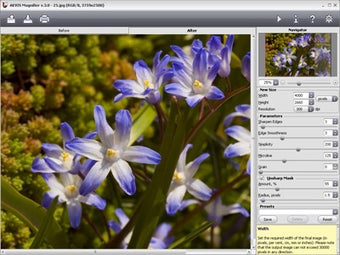 Image 0 for AKVIS Magnifier AI