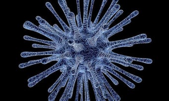 Image 2 for Coronaviris epidemic Chin…
