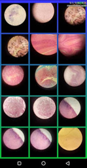 Image 2 for Histology Atlas 2019