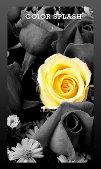 Image 0 for Color Splash