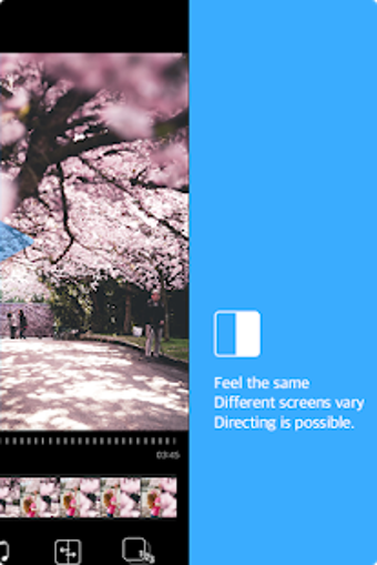 Image 1 for 2DM : Two Different Movie…