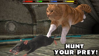 Image 1 for Ultimate Cat Simulator