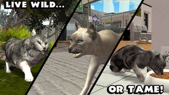 Image 3 for Ultimate Cat Simulator