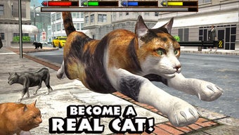 Image 0 for Ultimate Cat Simulator