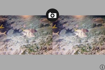 Imagen 0 para 3-D Movie Camera