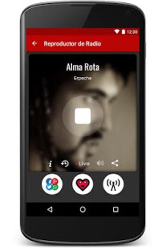 Image 2 for Flamenco Music