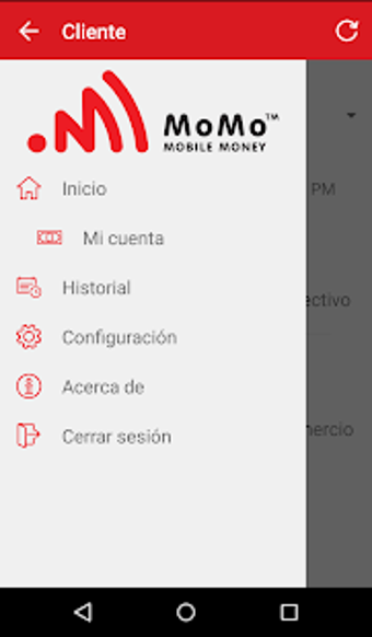 Imagen 3 para MoMo Mobile Money