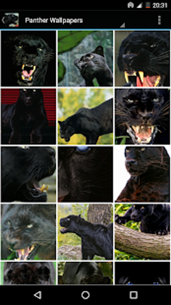 Image 3 for Panther Wallpapers