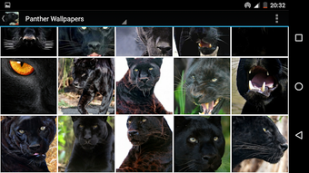Image 2 for Panther Wallpapers