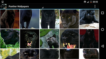 Image 1 for Panther Wallpapers