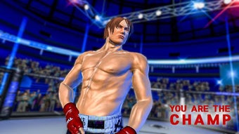 Image 0 for Fighting Star World Champ…