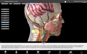 Image 0 for Human Anatomy Atlas - 3D …