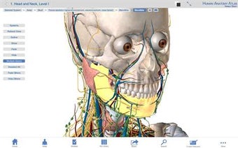 Image 3 for Human Anatomy Atlas - 3D …