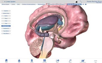 Image 1 for Human Anatomy Atlas - 3D …