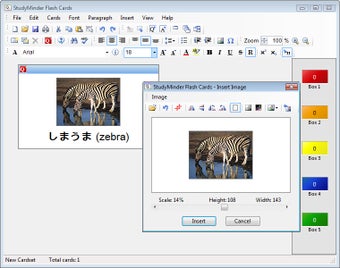 Image 0 for StudyMinder Flash Cards