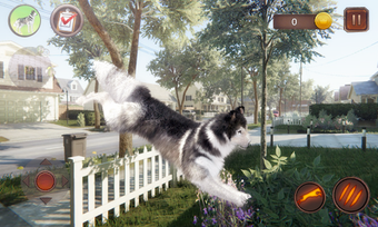 Image 1 for Husky Simulator