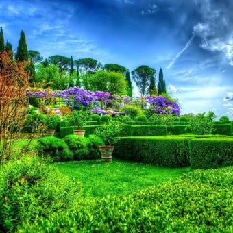Image 2 for Magic Garden Live Wallpap…