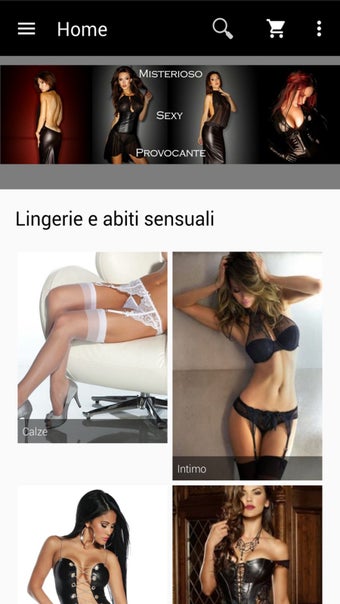 Image 2 for Vanity Island Lingerie