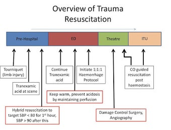 Image 2 for iCU Notes - a free Critic…