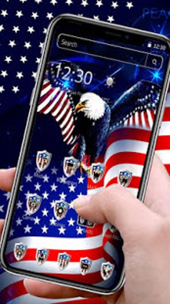 Image 1 for American Flag Eagle Theme