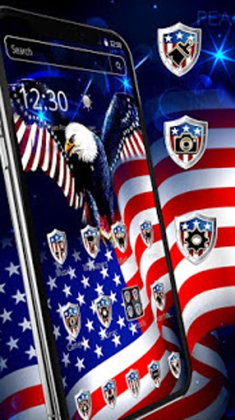 Image 0 for American Flag Eagle Theme