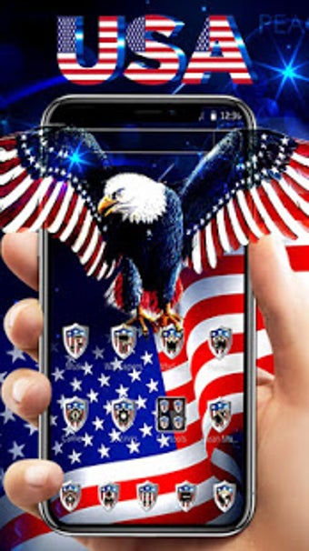 Image 2 for American Flag Eagle Theme