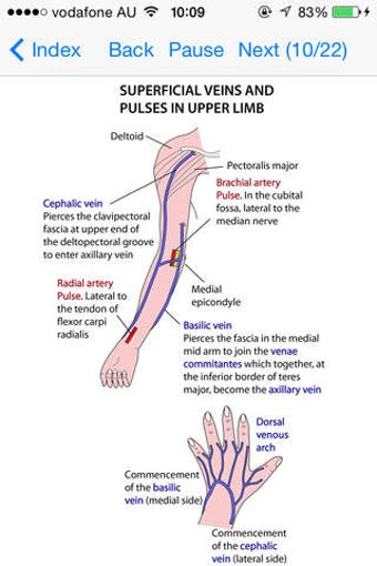 Image 0 for Anatomy Lectures Limbs