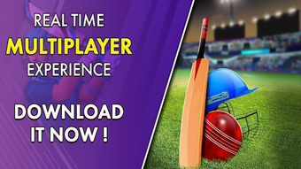 Imagen 0 para Cricket Hitter - Home Run