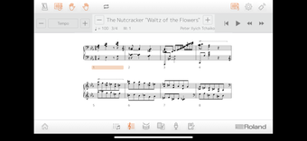 Imagen 1 para Piano Partner 2