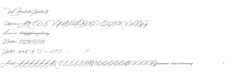 Imagen 0 para Manchester Signature