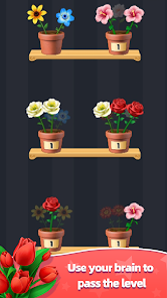 Image 0 for Relaxing Flower Match