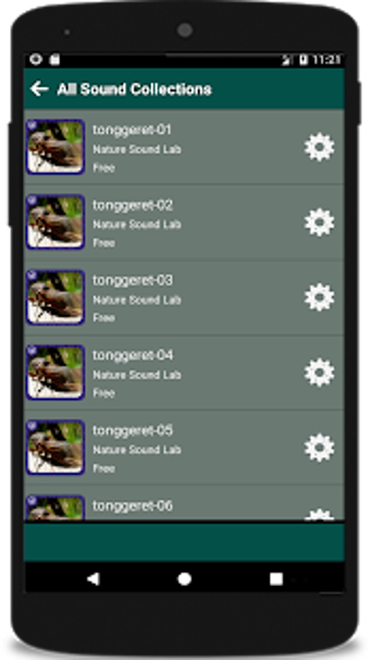 Image 3 for Kumpulan Suara Tonggeret …